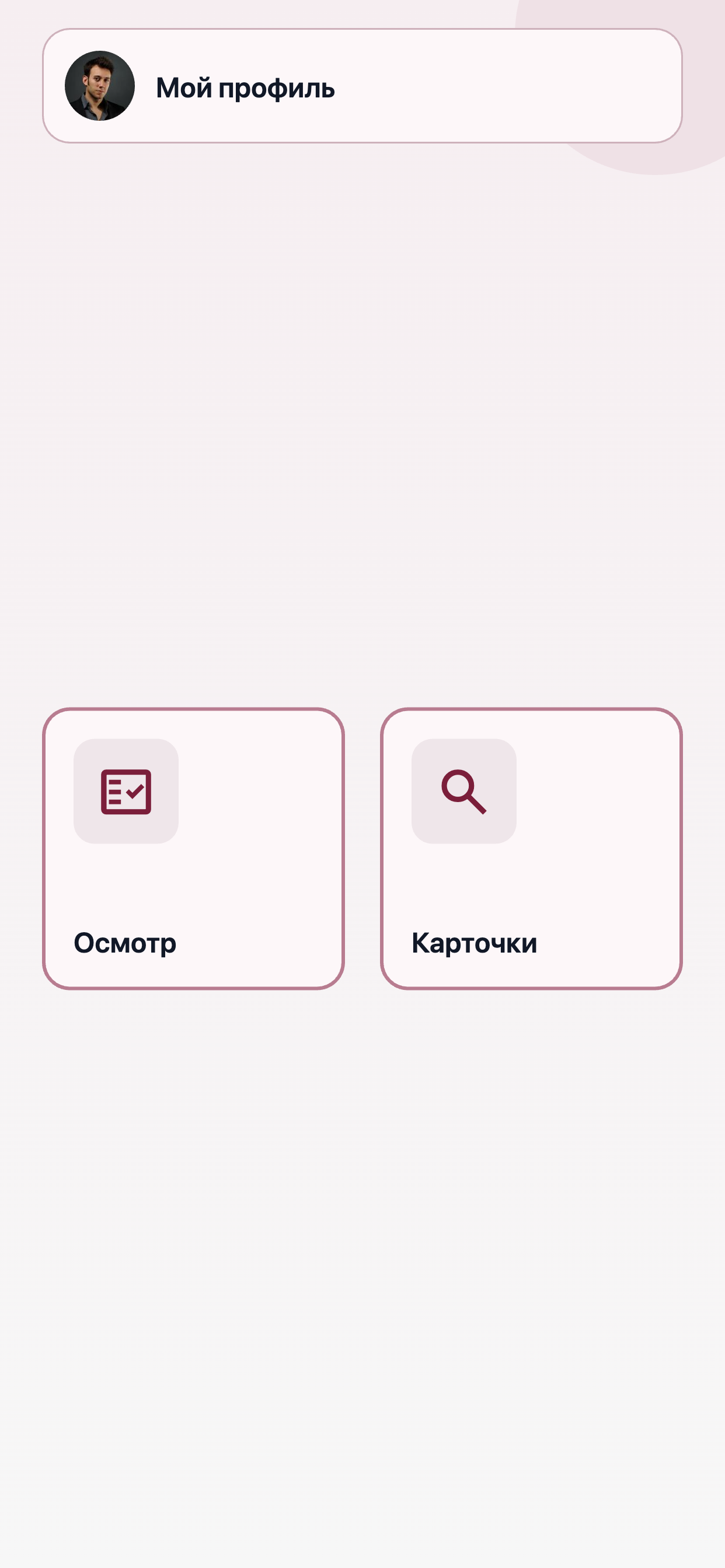 Главный экран Udvix Taksopark: осмотр и карточки