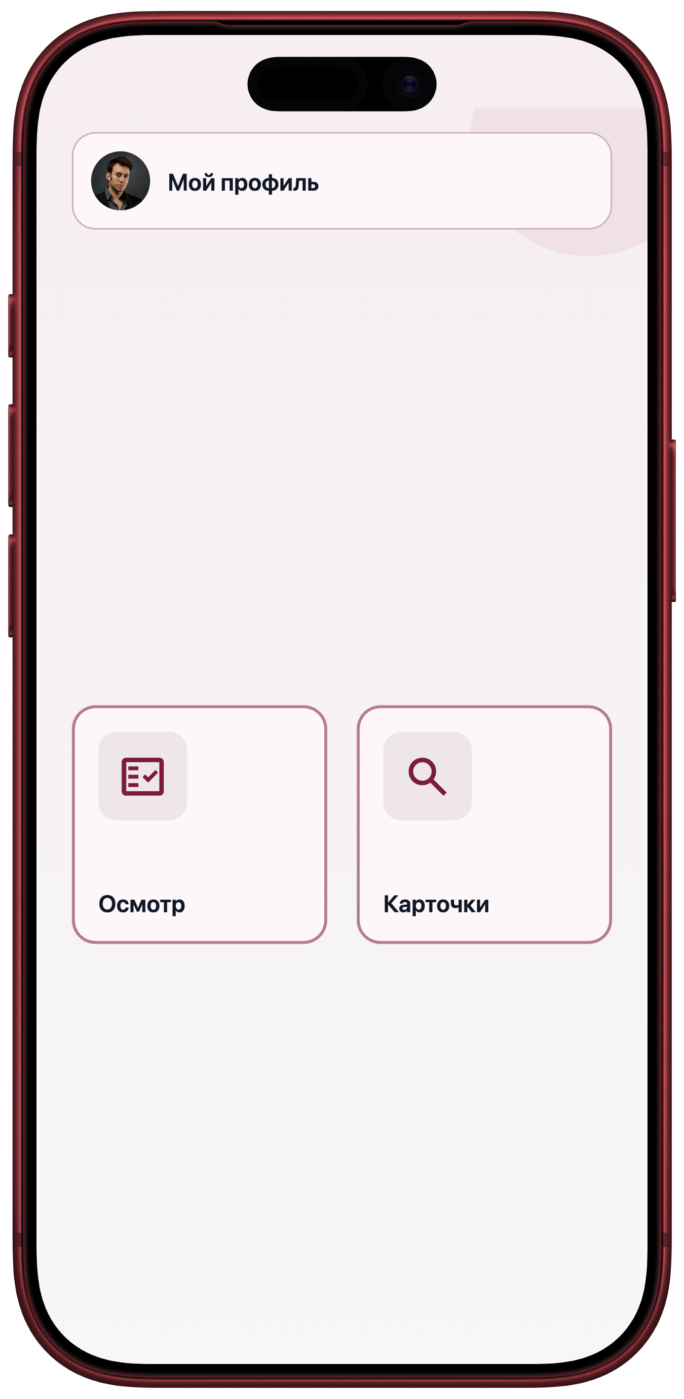 Главный экран Udvix Taksopark на iOS: осмотр и карточки